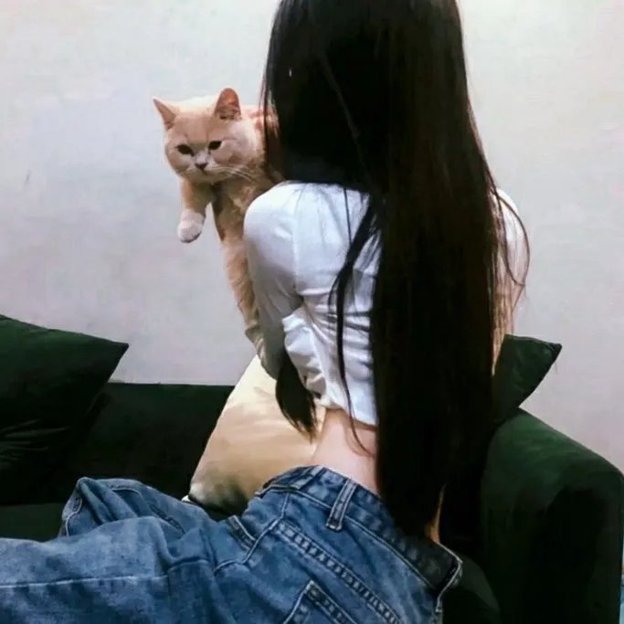 木更津猫眼 世界系列